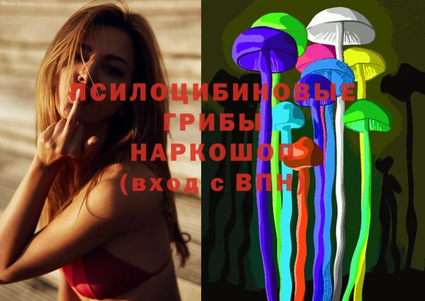 винт Каменногорск