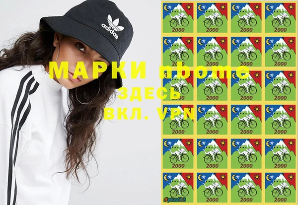 твердый Карпинск