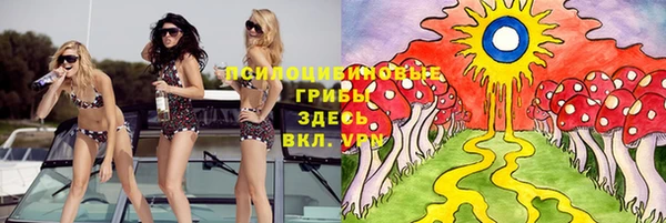 мет Каменск-Шахтинский
