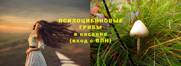 твердый Карпинск