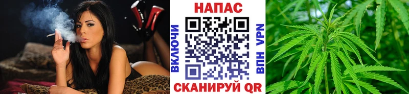 Купить  Гагарин  МАРИХУАНА ГИДРОПОН 